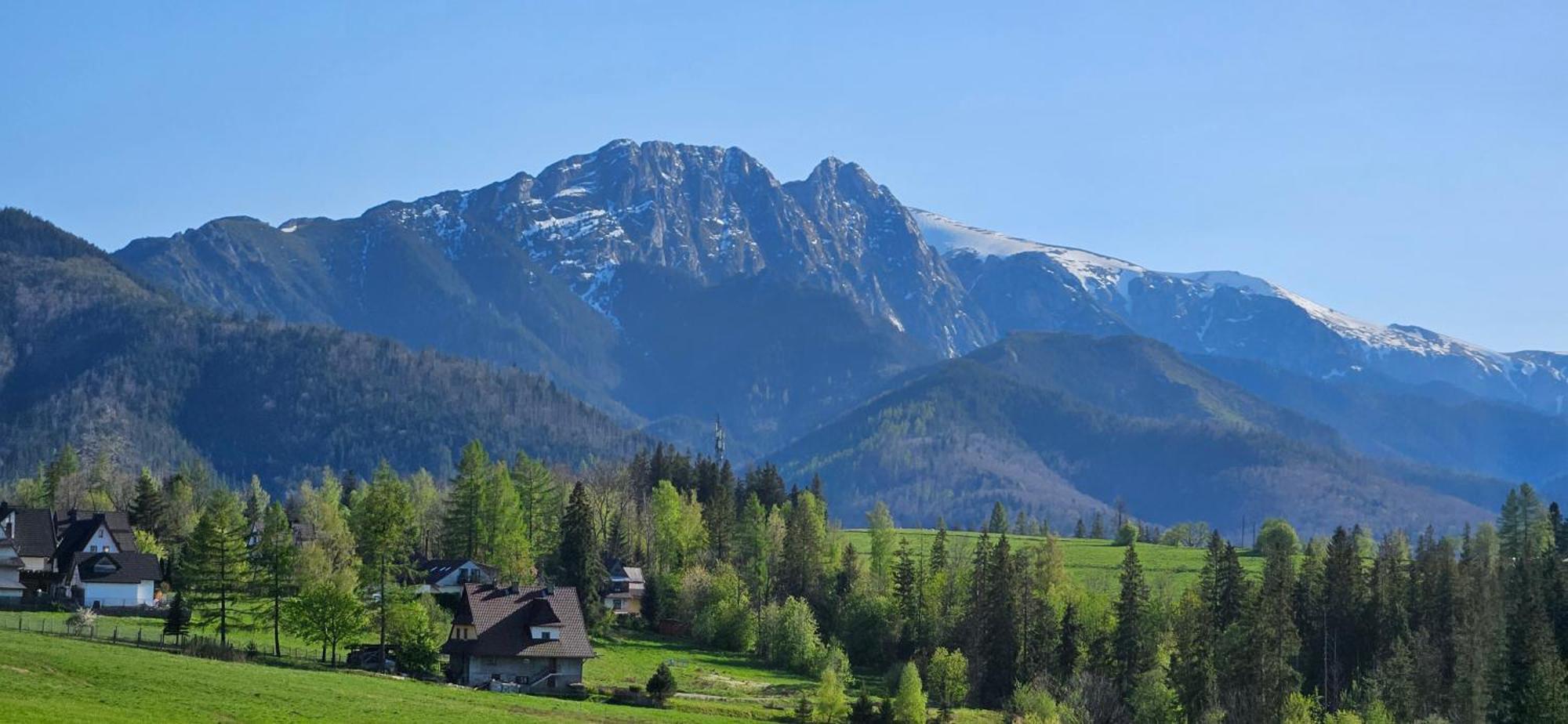 Appartement Marol Wynajem Pokoi à Zakopane Extérieur photo