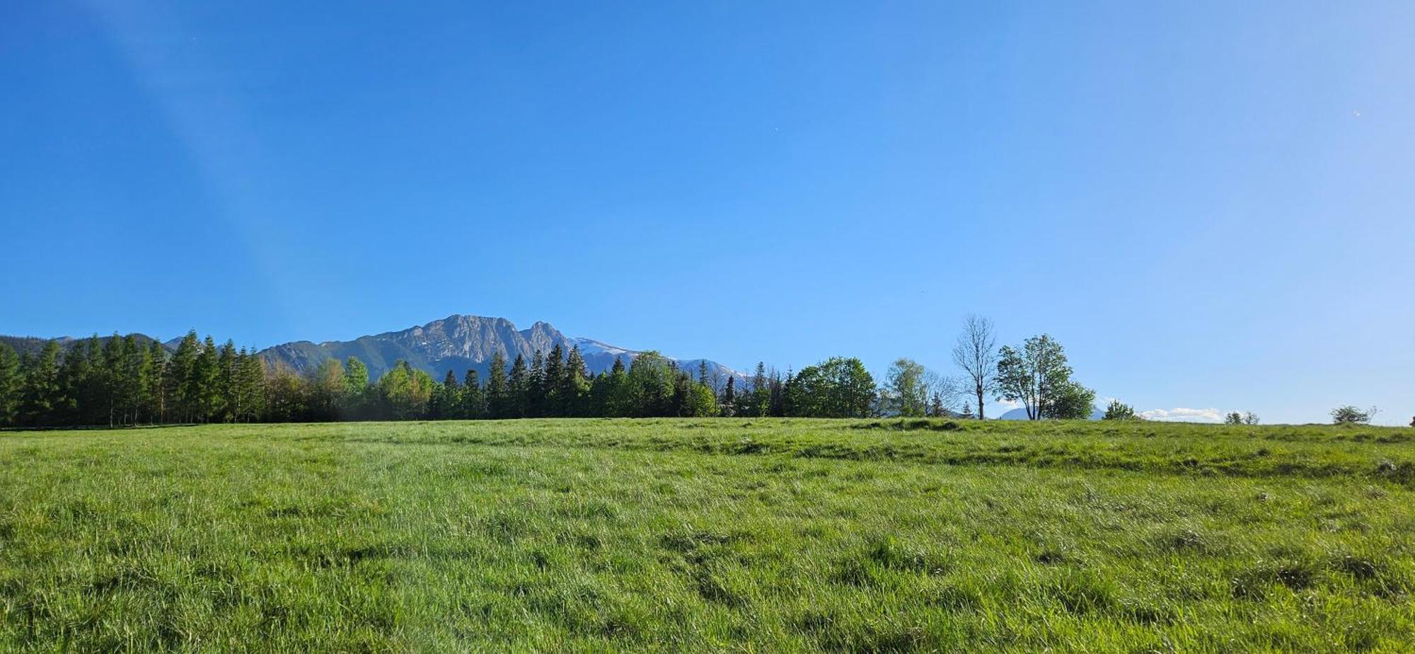 Appartement Marol Wynajem Pokoi à Zakopane Extérieur photo