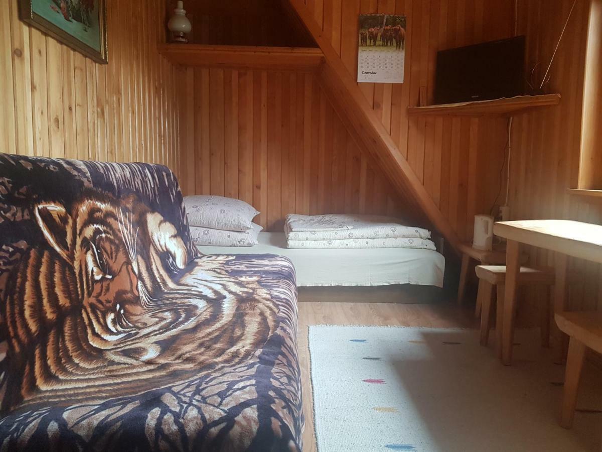 Appartement Marol Wynajem Pokoi à Zakopane Extérieur photo